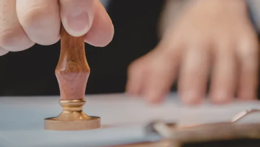 BELGELENDİRME SÜREÇLERİ