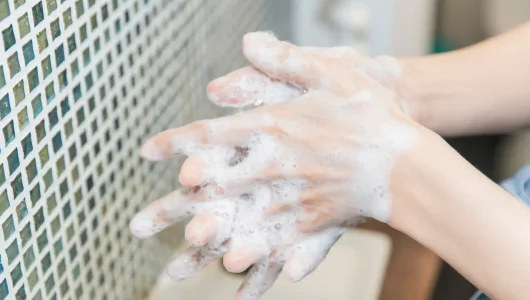 HİJYEN EĞİTİMİ nedir